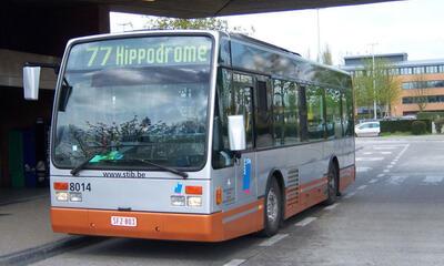 MIVB-bus