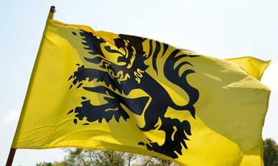Vlaamse vlag