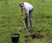 Ben Weyts plant bomen