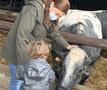 Zuhal Demir met dochter bij een koe op bezoek bij een landbouwer