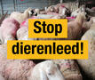 visual 'stop dierenleed'